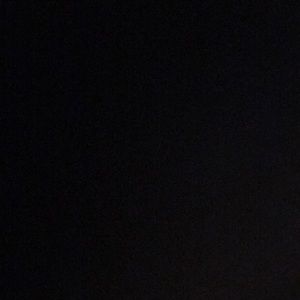 Meet your Posher, Rayna